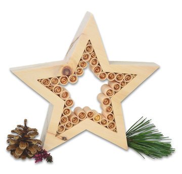 Star with highlights PZ003 (7,87", natural)